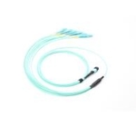 12 Fibers MPO to LC OM3 Fiber Optic MPO-LC 2.0mm Straight harness Cables