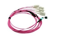 8 Fibers MPO to LC OM4 Fiber Optic MPO-LC 2.0mm Straight harness Cables