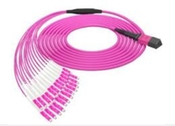 24 Fibers MPO to LC OM4 Fiber Optic MPO-LC 2.0mm Straight harness Cables
