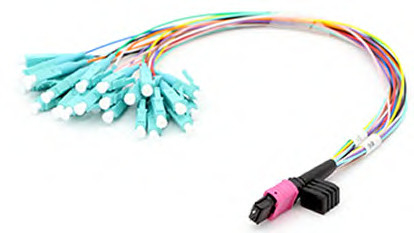 24 Fiber MPO to LC 24F MPO(male) -LC Fan-out 0.9mm 30-35cm Patch cable