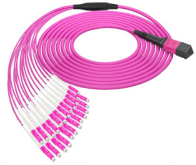 24F MTP OM4 Fiber Optic MTP-LC 2.0mm Straight harness Cables