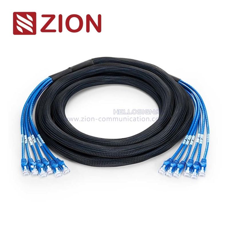 Cat 5e UTP Plug to Plug Trunk Cables