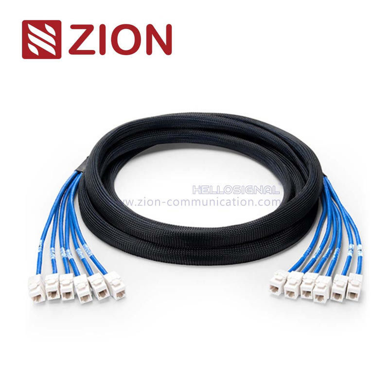 Cat 5e UTP Jack to Jack Trunk Cables